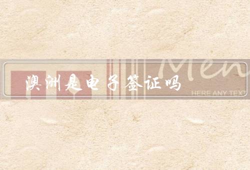 澳洲是电子签证吗，签证类型／电子签证／其他签证