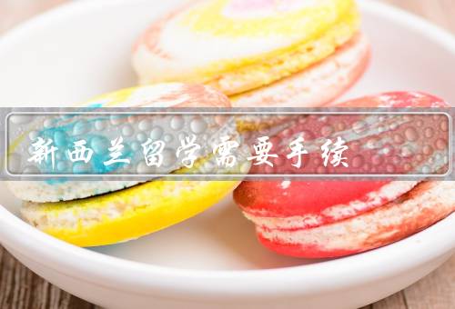 新西兰留学需要手续（申请签证、购买机票、办理健康保险）