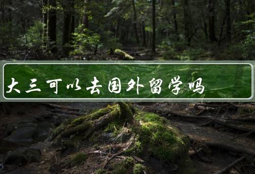 大三可以去国外留学吗，适合去国外吗、好处、注意事项
