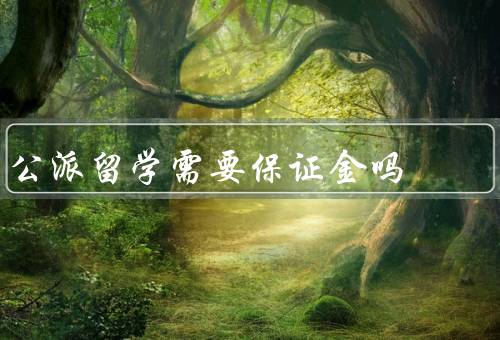 公派留学需要保证金吗（公派留学的定义／个别项目的保证金要求）
