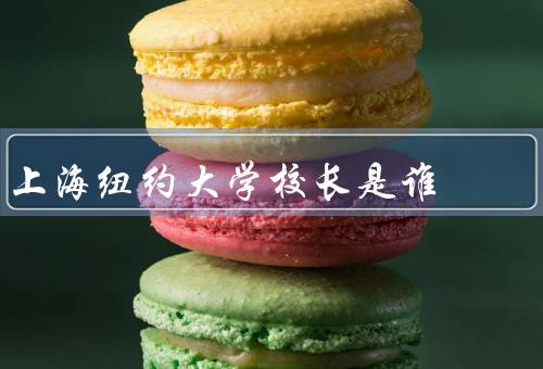 上海纽约大学校长是谁，校长／马文·韦斯特曼背景／发展