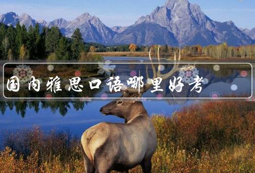 国内雅思口语哪里好考（机构、学校、在线平台）