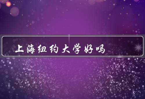 上海纽约大学好吗（校园环境、教学质量、国际化特色）