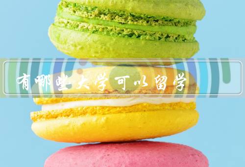 俄罗斯有哪些大学可以留学（国立大学、圣彼得堡国立大学）