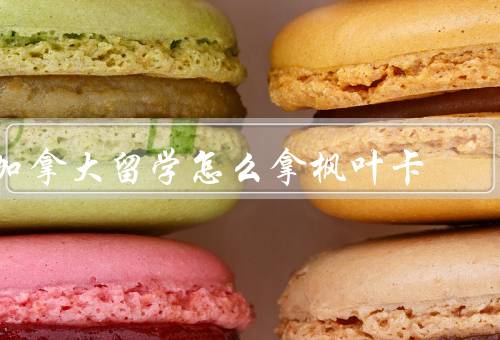 加拿大留学怎么拿枫叶卡（条件／步骤／注意事项）
