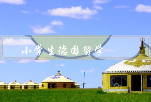 小学生德国留学（了解不同的文化、提高语言能力）