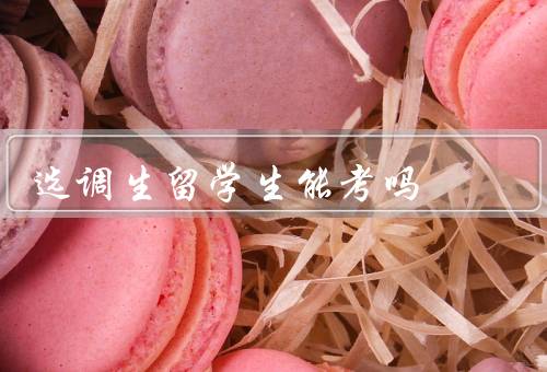 中央选调生留学生能考吗，留学生背景／政策／机会