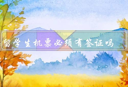 买留学生机票必须有签证吗（买留学生机票必须有签证吗）