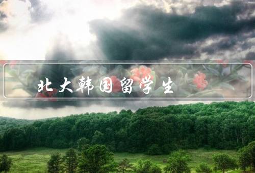 北大韩国留学生，人数／生活状况／学术成就