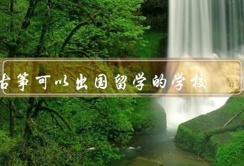 古筝可以出国留学的学校（国外学校、课程设置、留学意义与挑战）