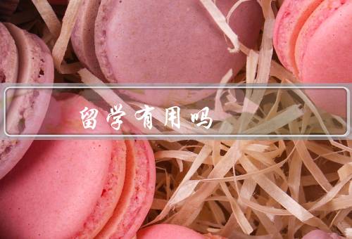 俄罗斯留学有用吗，语言优势／教育质量／文化体验