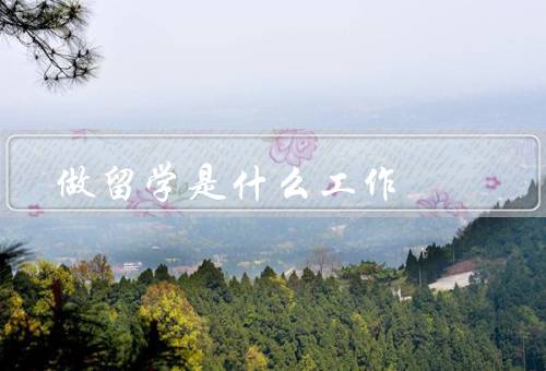 做留学是什么工作，工作内容、重要性、结语