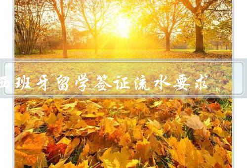 西班牙留学签证流水要求，流水要求／注意事项／申请建议