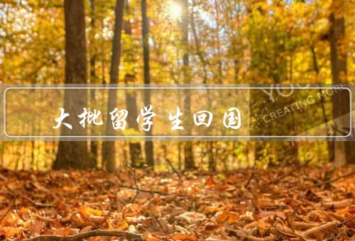 大批留学生回国，原因、影响、面临挑战