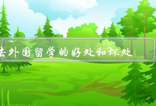去外国留学的好处和坏处，提高语言能力／拓宽视野／增加人际关系