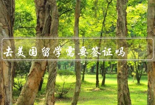 去美国留学需要签证吗，类型、申请流程、注意事项