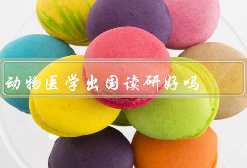 动物医学出国读研好吗（动物医学的国际交流／就业前景广阔）