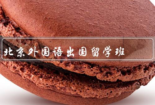 北京外国语出国留学班，语言能力、跨文化交际能力、国际事务素养