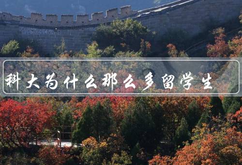 中科大为什么那么多留学生（国际化教育理念／优质的教学资源）