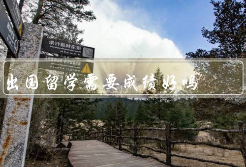 出国留学需要成绩好吗
