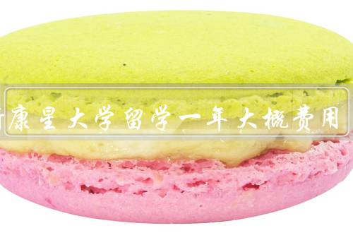 威斯康星大学留学一年大概费用，学费／生活费／保险费