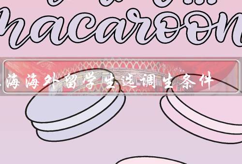 上海海外留学生选调生条件，选拔条件、背景条件、综合评价