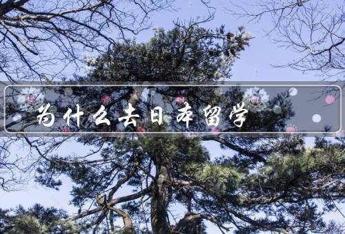 为什么去日本留学（就业机会、教育质量、文化体验）