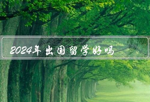 2024年出国留学好吗（好处、准备工作、挑战与收获）