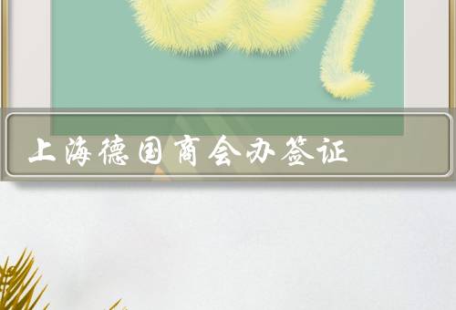 上海德国商会办签证（德国商会简介、办签证流程、商会的优势）