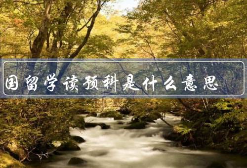 出国留学读预科是什么意思，定义、目的、内容