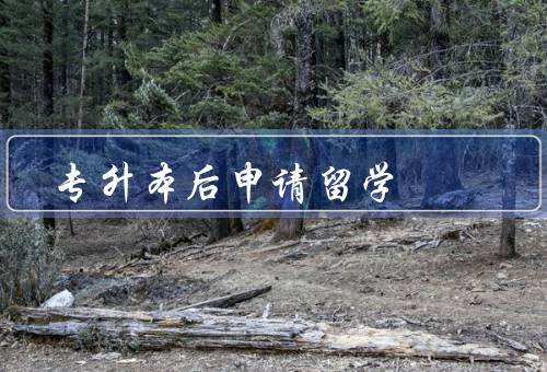 专升本后申请留学（意义／申请的准备工作／后的发展前景）