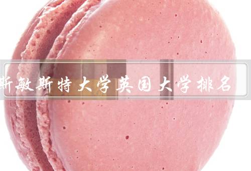 威斯敏斯特大学英国大学排名（历史与概况／英国大学排名）
