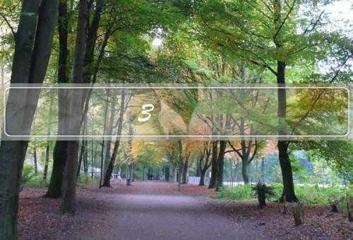3+1+1留学项目（背景、优势、前景）