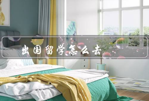 出国留学怎么去，留学中介、自助申请、奖学金申请