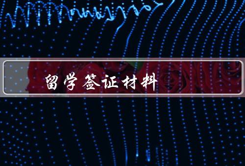 俄罗斯留学签证材料（护照／签证申请表／录取通知书）