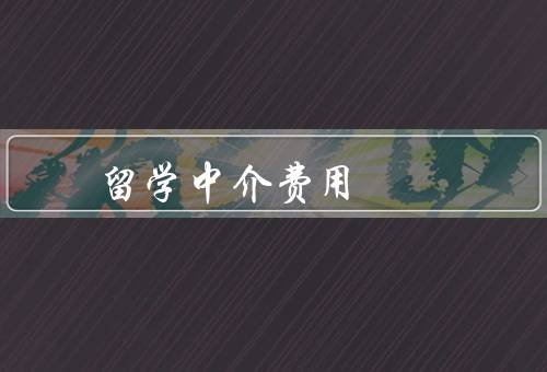 俄罗斯留学中介费用（构成／价格差异／如何选择中介机构）