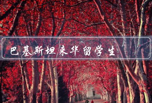 巴基斯坦来华留学生（背景、生活、成果）