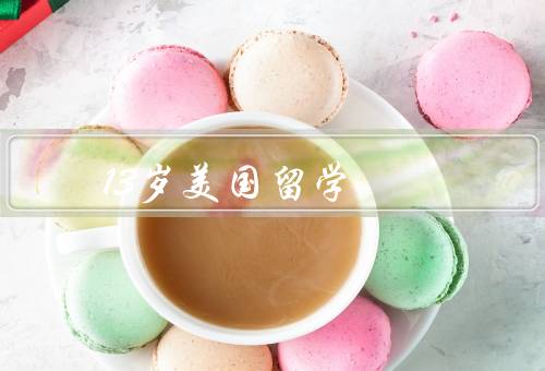 13岁美国留学（留学生活／学习成绩和压力／成长与收获）