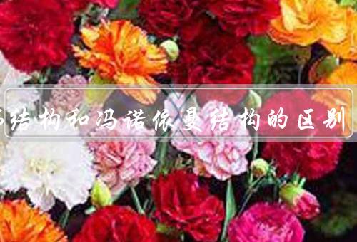 哈佛结构和冯诺依曼结构的区别，哈佛结构／冯诺依曼结构