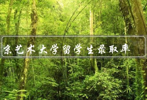东京艺术大学留学生录取率，录取标准／竞争激烈／专业选择