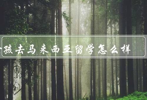 女孩去马来西亚留学怎么样（语言环境／文化交流／教育质量）