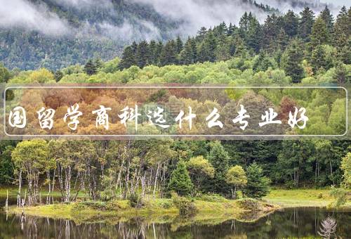 出国留学商科选什么专业好（商科专业的多样性／专业的就业前景）