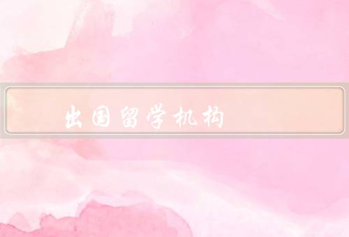 俄罗斯出国留学机构（概况、服务内容、优势）