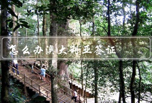 怎么办澳大利亚签证，准备申请材料／在线申请步骤／常见问题解答