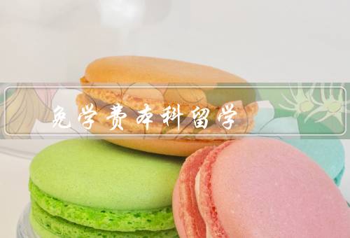 免学费本科留学，优势／注意事项／结语