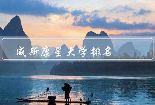 威斯康星大学排名，学术排名、研究成果、学生满意度