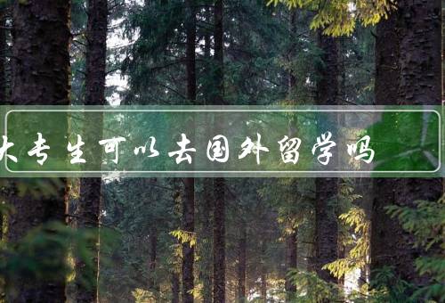 大专生可以去国外留学吗，机会／条件／意义