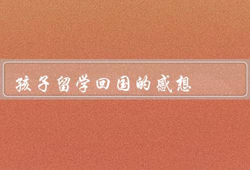 孩子留学回国的感想（适应问题、语言问题、心理问题）