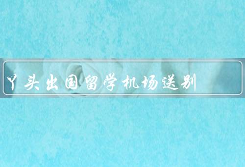 丫头出国留学机场送别（临别之际／告别的痛苦／新的旅程）