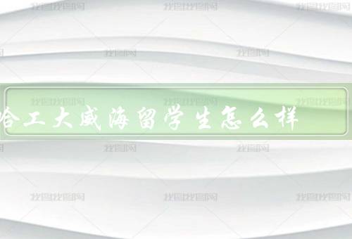 哈工大威海留学生中心怎么样，设施、服务、活动